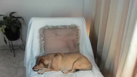 - E S T R E L L A  M I L F - online show from 10/06/25, 04:10