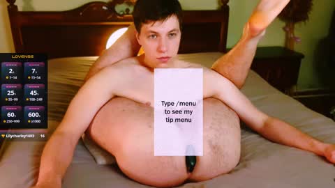 Snapshot of ethan7inches chatting on 01/21/25, 02:33 Ethan online show from 01/21/25, 02:33