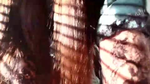 Evaa Depp online show from 01/22/25, 12:27