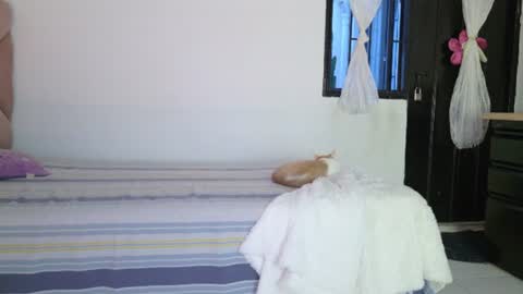 Snapshot of eva_sin18 chatting on 06/12/26, 11:25 Eva Sin online show from 06/12/26, 11:25