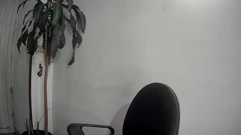 evacollins12 online show from 12/09/24, 01:40