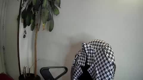 evacollins12 online show from 01/07/25, 03:46