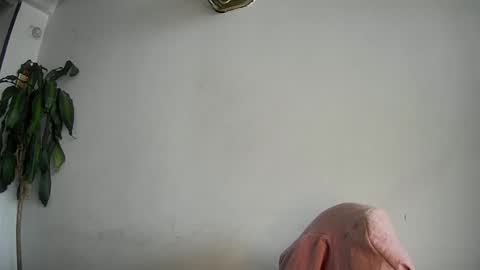 evacollins12 online show from 02/15/25, 07:50