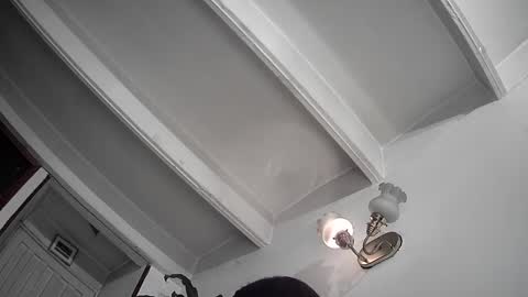 evacollins12 online show from 02/25/25, 12:36