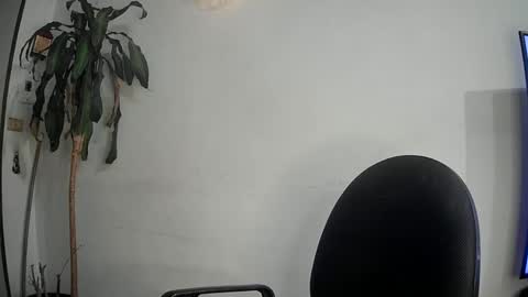 evacollins12 online show from 03/12/25, 02:41