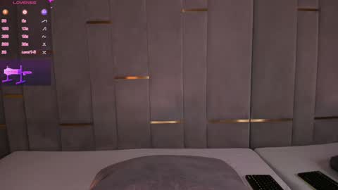 Snapshot of evalims chatting on 01/29/25, 03:58 EVA online show from 01/29/25, 03:58