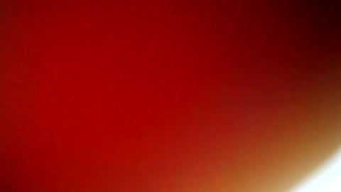 evangely online show from 02/09/25, 11:36