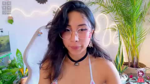 Im Eve or Chelle Next Stream 191224  online show from 03/11/26, 05:19