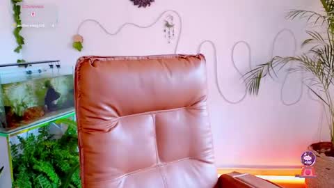 Im Eve or Chelle Next Stream 191224  online show from 05/04/26, 06:37