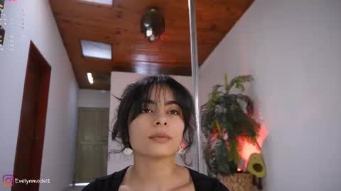 evelyn evelyn online show from 06/11/26, 04:16