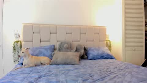 even_scoty online show from 10/25/25, 12:23