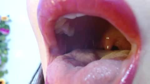 Evoleth online show from 12/15/24, 09:03