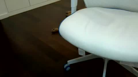 exhibapoil online show from 07/21/26, 06:27