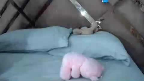 eyshaexotii online show from 06/30/26, 04:24