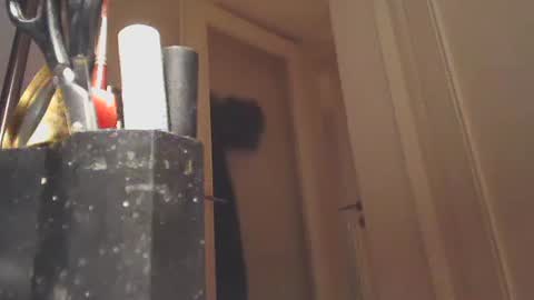 Snapshot of ezcoda chatting on 01/26/25, 10:57 EZCODA online show from 01/26/25, 10:57