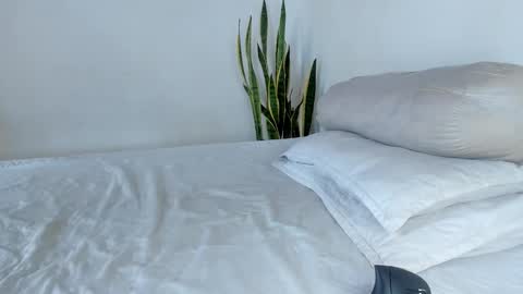 -  A N D E R online show from 11/04/25, 06:29