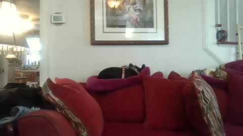 Snapshot of fairmount31 chatting on 11/07/25, 07:25 fairmount31 online show from 11/07/25, 07:25