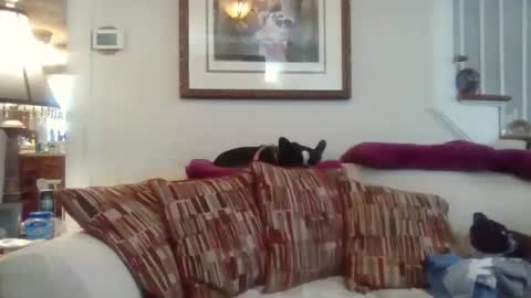 Snapshot of fairmount31 chatting on 11/12/25, 04:51 fairmount31 online show from 11/12/25, 04:51