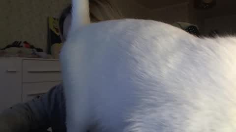 Snapshot of fairydreams_ chatting on 11/06/25, 01:01 Arisha online show from 11/06/25, 01:01