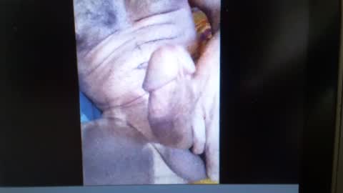 Snapshot of falushp chatting on 01/23/25, 09:50 falushp online show from 01/23/25, 09:50