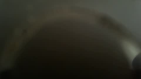 Snapshot of falushp chatting on 02/26/25, 11:52 falushp online show from 02/26/25, 11:52