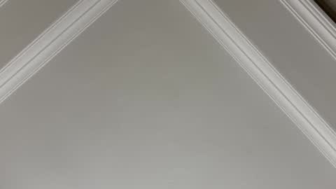 Snapshot of famsea chatting on 11/10/25, 01:48 famsea online show from 11/10/25, 01:48