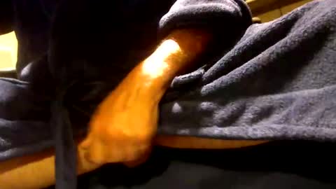 fastoys aka ...what ever.. online show from 06/01/26, 04:41