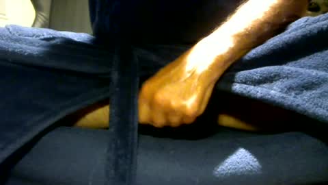 fastoys aka ...what ever.. online show from 07/21/26, 06:32
