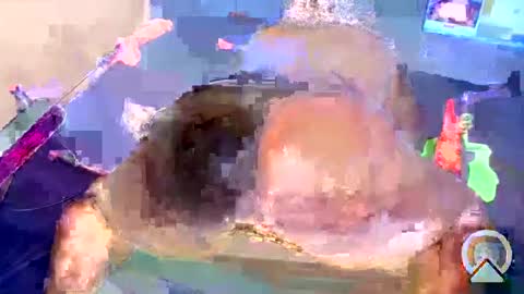 i like my pussy been toture online show from 01/04/25, 05:58