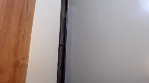 Snapshot of fatpussy_ebony chatting on 01/31/25, 02:17 lexie online show from 01/31/25, 02:17