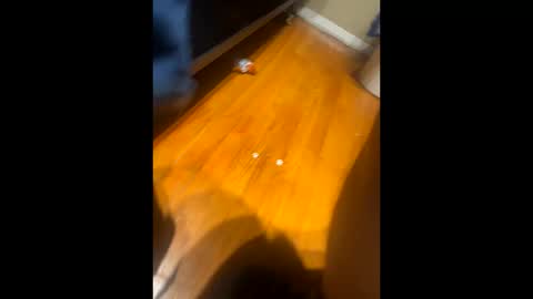 fatz71056 online show from 10/16/25, 10:16