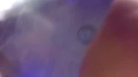 fbisurveylance6 online show from 09/11/25, 07:41