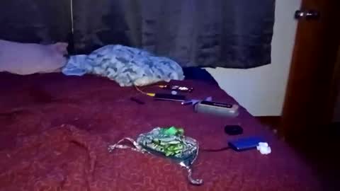 Snapshot of feetandmeat420 chatting on 10/29/25, 09:33 feetandmeat420 online show from 10/29/25, 09:33