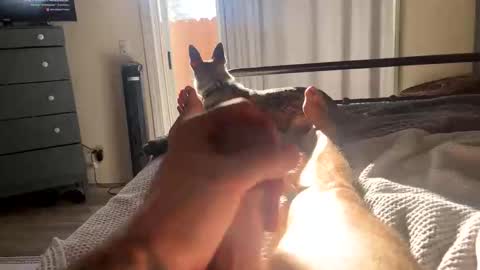 Snapshot of feetomines chatting on 10/18/25, 03:57 FEETOMINES online show from 10/18/25, 03:57