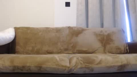FelineChic online show from 01/10/25, 04:44