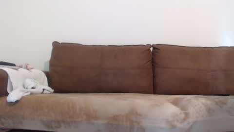 FelineChic online show from 01/17/25, 05:42