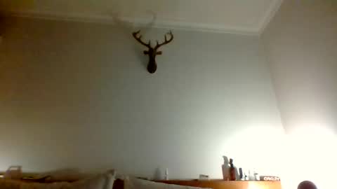 felipesmg2 online show from 06/11/26, 09:57