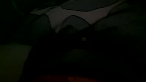 Snapshot of felixske chatting on 11/01/25, 10:06 felixske online show from 11/01/25, 10:06