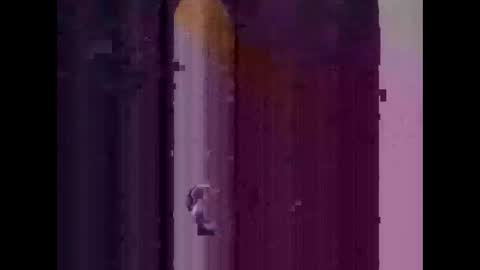 feog197475512 online show from 11/03/25, 03:30