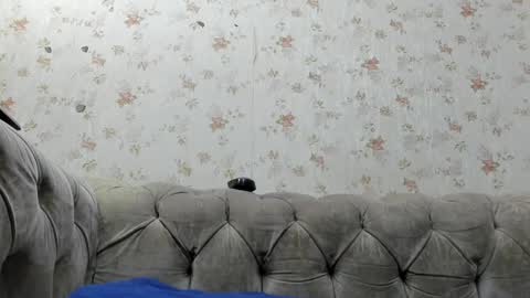 Fernanda online show from 01/12/25, 12:01