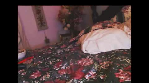 ferra_testarossa online show from 11/05/25, 03:17