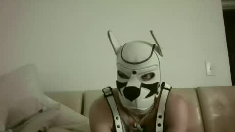 Snapshot of fetishsearch1abdl chatting on 09/25/25, 11:03 fetishsearch1abdl online show from 09/25/25, 11:03