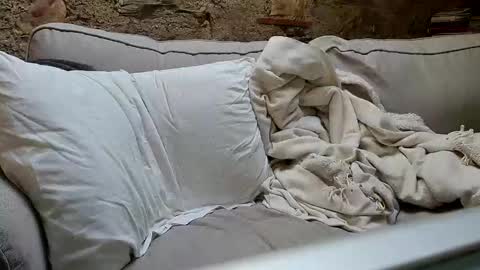 Snapshot of fidelio89 chatting on 01/06/25, 10:35 Fid online show from 01/06/25, 10:35