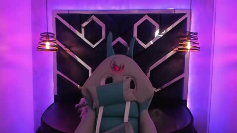   online show from 01/08/25, 12:05
