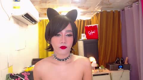 stephanie online show from 01/13/26, 01:33