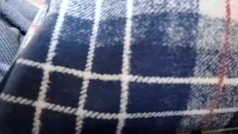 filthyskanktrollop online show from 11/06/25, 04:41