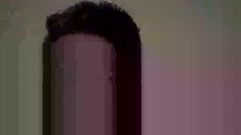 Nate online show from 06/10/26, 08:24