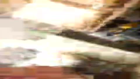 Nate online show from 07/24/26, 08:01