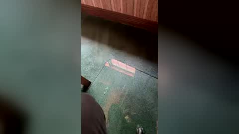 fleshflyingmr online show from 06/24/26, 06:51