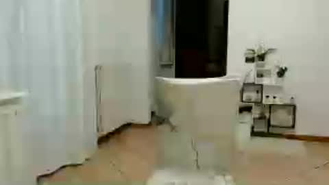 florya4you online show from 06/12/26, 04:39